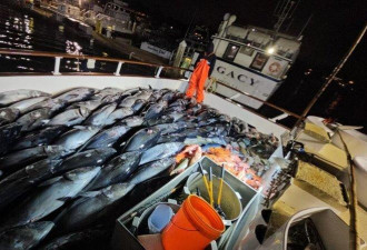 震撼 华人海钓收获惊人 分送10多位朋友