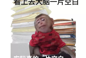 以为在休息，实则让大脑变笨的9种行为