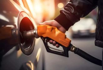 燃油车，真的没人买了？