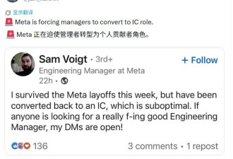 Meta大裁员的“幸存者”们，正在经历进退两难