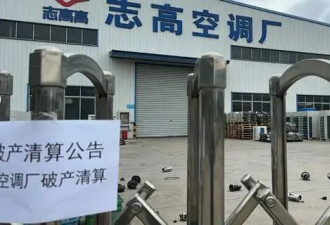 一年卖100亿，中国又一巨头破产了
