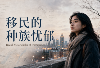 一位移民精神科医生的孤独——新老移民都应该看的一篇文章