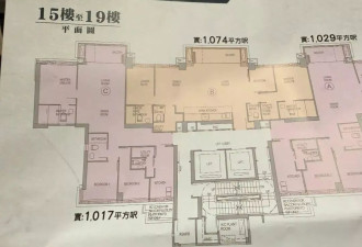 有客户三天定下过亿豪宅，内地买家挤爆香港楼市