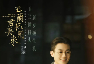 杨紫新剧《玉兰花开君再来》杀青！全阵容官宣，实力派扎堆太稳了