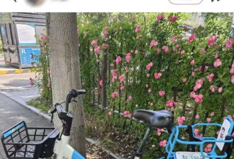 越来越潮的共享单车，北上广打工人都骑不起了