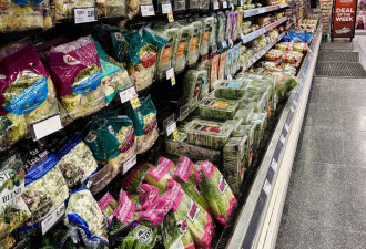 很多人天天吃错！多伦多营养师推荐6种抗炎食物 悄悄给身体"灭火"