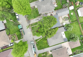 最大风速145公里/小时！安省两地遭强龙卷风袭击，大树连根拔