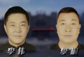 豪车百辆现金10亿，中国电力3兄弟落网