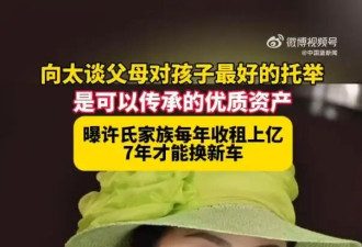 向太曝许氏家族每年收租上亿，自己就300多万
