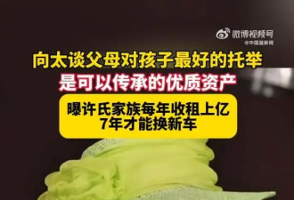 向太曝许氏家族每年收租上亿，自己就300多万