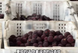 福建“毒杨梅”曝光后价格暴跌9成 记者遭威胁反击