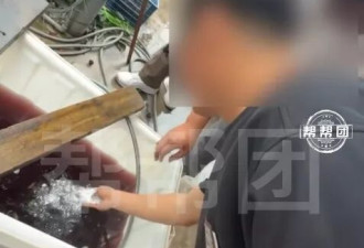 福建“毒杨梅”曝光后价格暴跌9成 记者遭威胁反击
