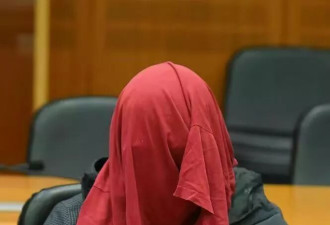 德国华人迷奸案：药、暗语、非人化
