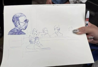 德国华人迷奸案：药、暗语、非人化