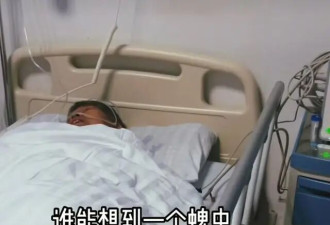 安徽遭蜱虫咬伤女子离世 官方一要求让家属崩溃