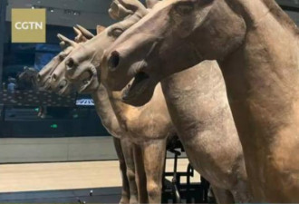 兵马俑战马 大多都是“阉马” 信息量巨大