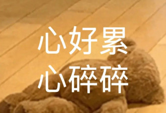  伊能静意外曝离婚猛料，庾澄庆放手并非妥协 