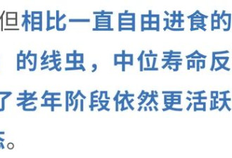 饿一天寿命延长超40% 还能调整免疫系统