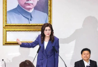 郑丽文下周访美：不当“麻烦制造者”，为两岸...