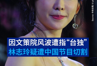 因文策院风波遭指"台独" 林志玲疑遭中国节目切割