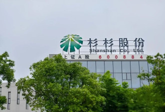杉杉内斗两败俱伤后 家被安徽国资用70亿“抄”了