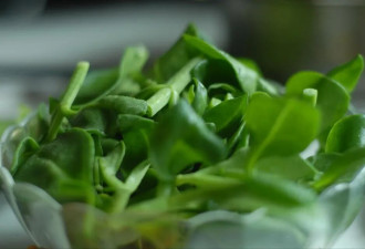 夏天多吃，这4种蔬菜是“肠道之王”