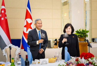 新加坡外长时隔8年，再次访问朝鲜....