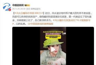 向太曝许氏家族每年收租上亿，7年才准换车！自家年收入仅300多万