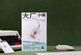 张小满：大厂把人碾碎了，我想知道为什么