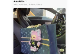 杭州顶级豪宅验资8000万 有人闲鱼卖看房资格