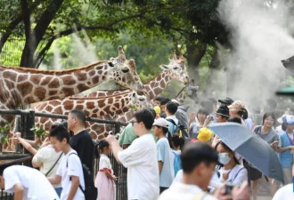 今年1现象超强！广州热爆