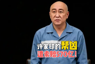 许家印的帮凶跑不掉了，普华永道遭索赔570亿...