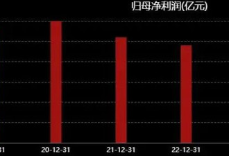 闪崩83%!马云密友“钱多多”,深陷“杀猪盘”质疑