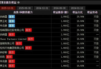 闪崩83%!马云密友“钱多多”,深陷“杀猪盘”质疑