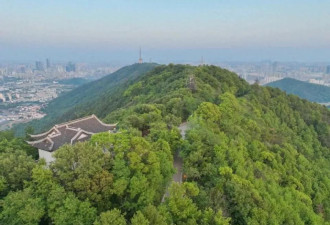 无锡一公园用墓碑铺路，当地回应