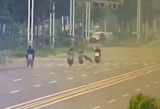 男子遛狗从不拴绳，撞死人后将狗打死，否认养狗