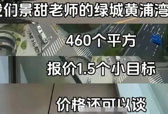 景甜被曝急售上亿豪宅，代孕事件深层内幕曝光