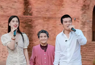 杨子靠山被查 黄圣依亮牌 这才是她敢离婚的底气