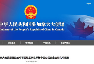 大使馆提醒赴加观看世界杯中国公民：安全出行，文明观赛