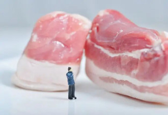 超标38倍的双汇猪肉，不是第一次爆雷 ...