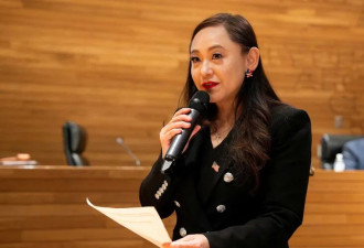 前女市长承认在美国“当中国代理人”最惨下场是