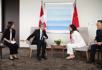 中国外长王毅在渥太华同加拿大外长阿南德会谈