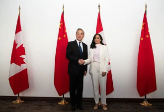 中国外长王毅在渥太华同加拿大外长阿南德会谈