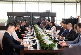 中国外长王毅在渥太华同加拿大外长阿南德会谈