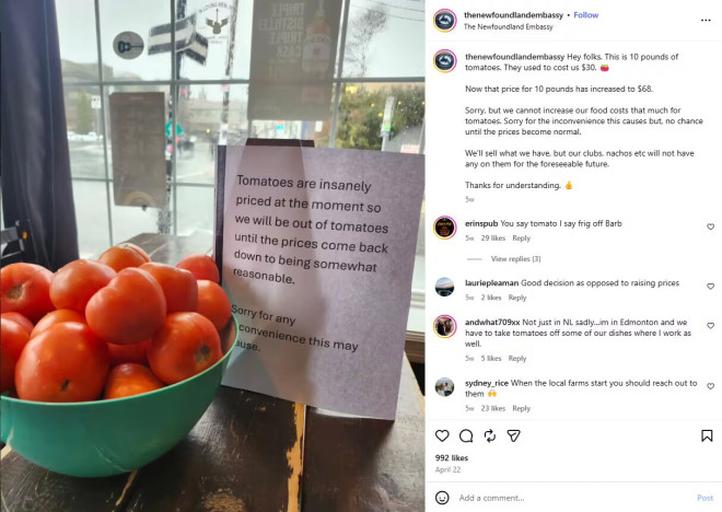 Instagram 截图：一碗红番茄旁边标语写着“目前番茄价格离谱，暂时停售，等回归合理再供货。”