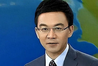 前央视主持人郎永淳刑满释放后，如今过得怎样