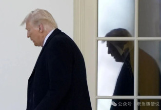 三个联邦法官起诉川普，打响美国宪政保卫战