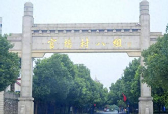 67户攒30亿，家家别墅！湖北小村成第二个华西村