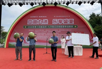 37.68斤大西瓜3万元被拍走,款项将用于资助困难学子
