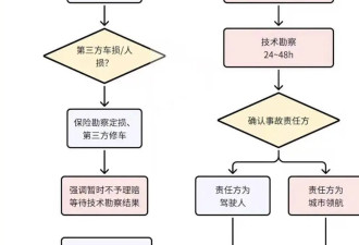 复盘首起比亚迪“无上限兜底”智驾事故理赔案